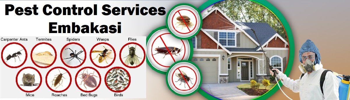 Fumigation and pest control services in Embakasi Nairobi
