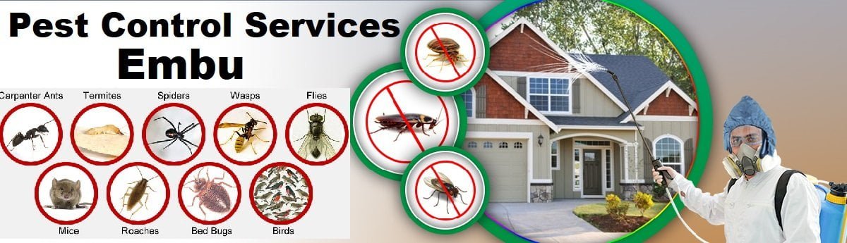 Fumigation and pest control services in Embu