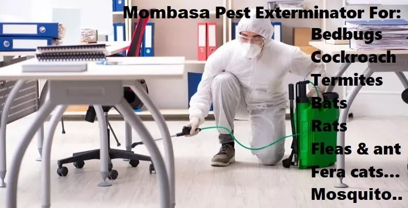 Fumigation and pest control services in Mombasa county