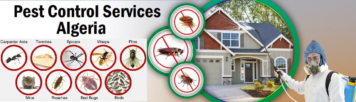 Fumigation & pest control services in Algeria