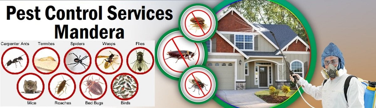 Fumigation & pest control services in Mandera