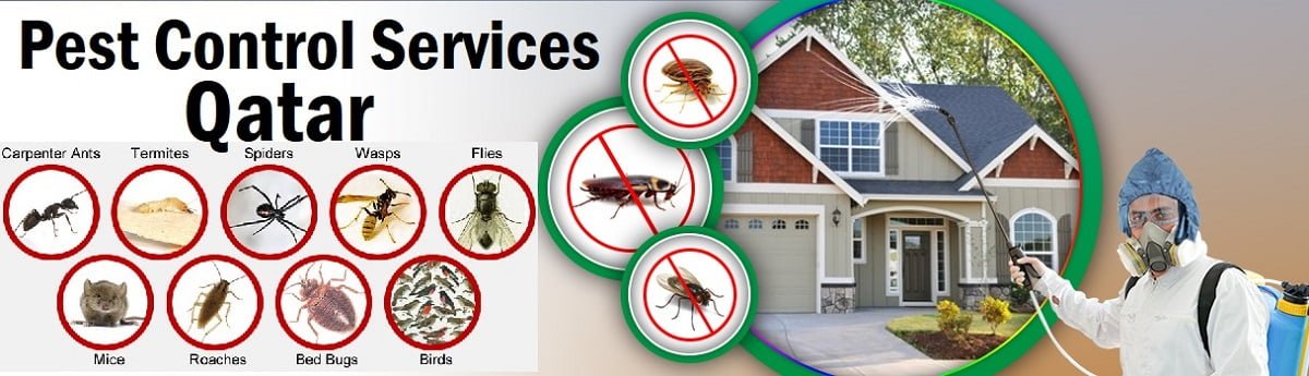 Fumigation & pest control services in Qatar Doha