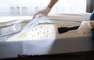 Bedbugs & getting rid of bedbugs in Kenya?