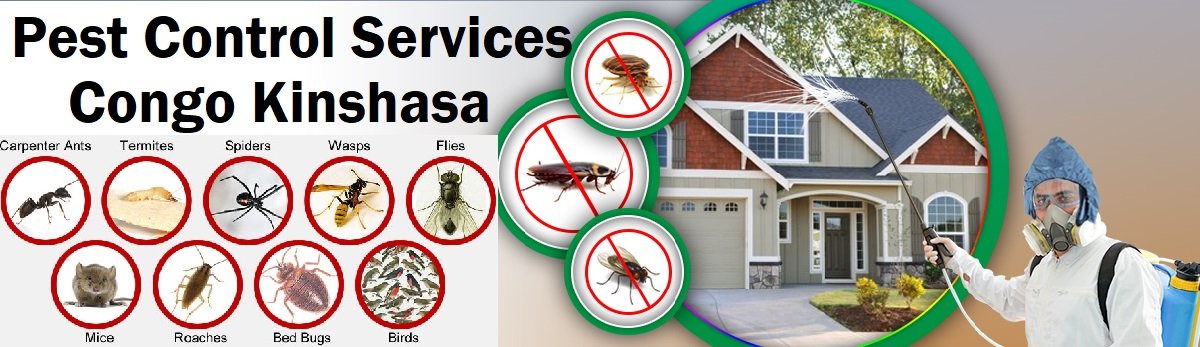 Congo & how to get rid of pests in Congo Kinshasa?
