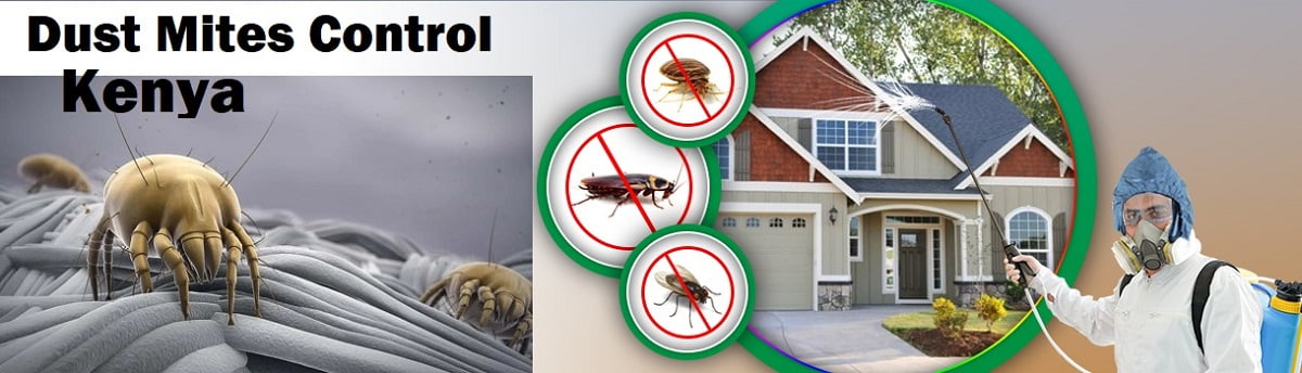 Dust mites control Kenya