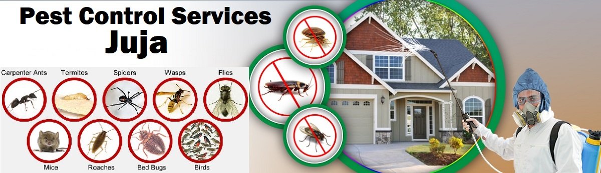 Fumigation and pest control services in Juja