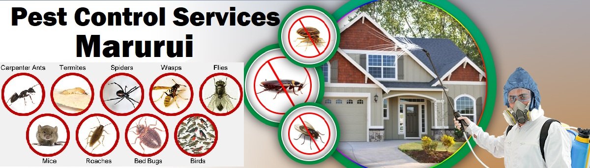 Fumigation & pest control services in Marurui