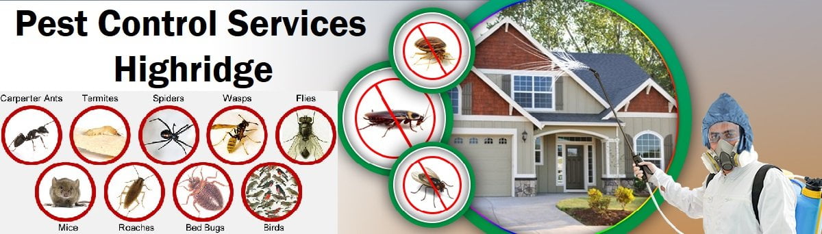 Fumigation & pest control services in Highridge Nairobi