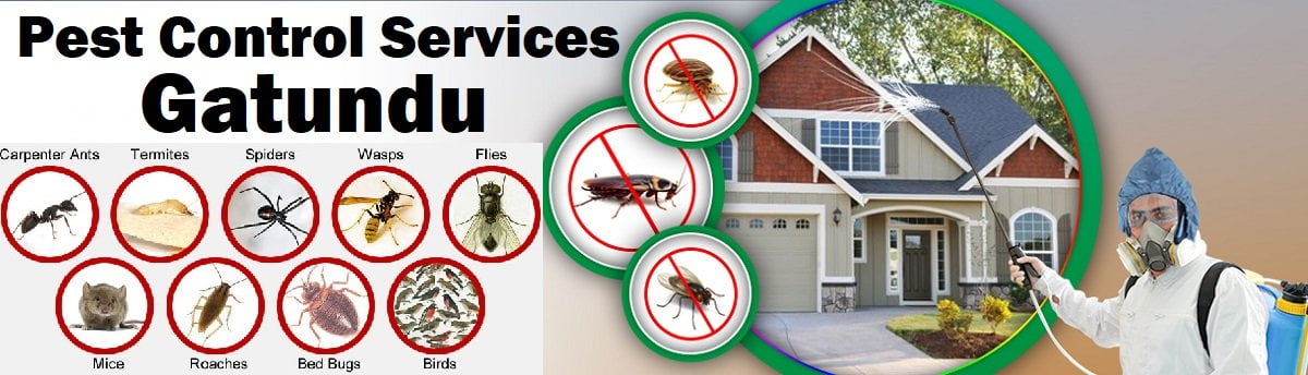 Gatundu fumigation and pest control services