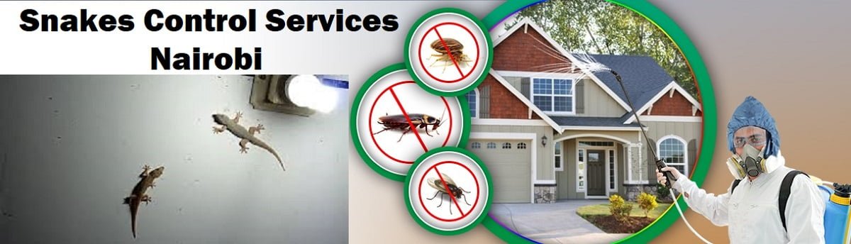 Snakes control in Nairobi