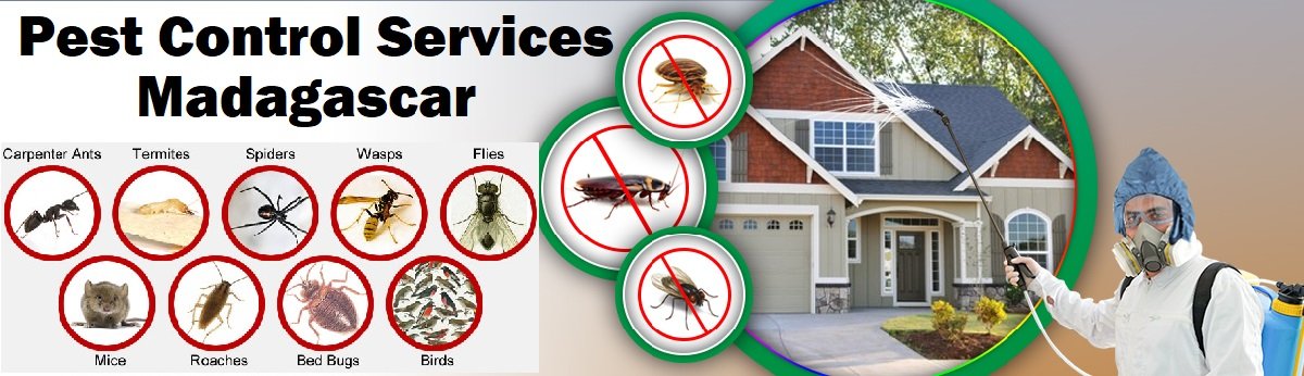 Fumigation & pest control services in Madagascar