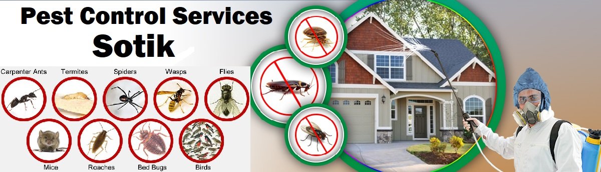 Fumigation & pest control services in Sotik