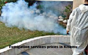 Fumigation prices in Nairobi Kenya