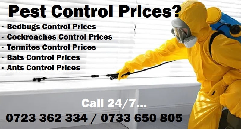 Pest control prices in Nairobi