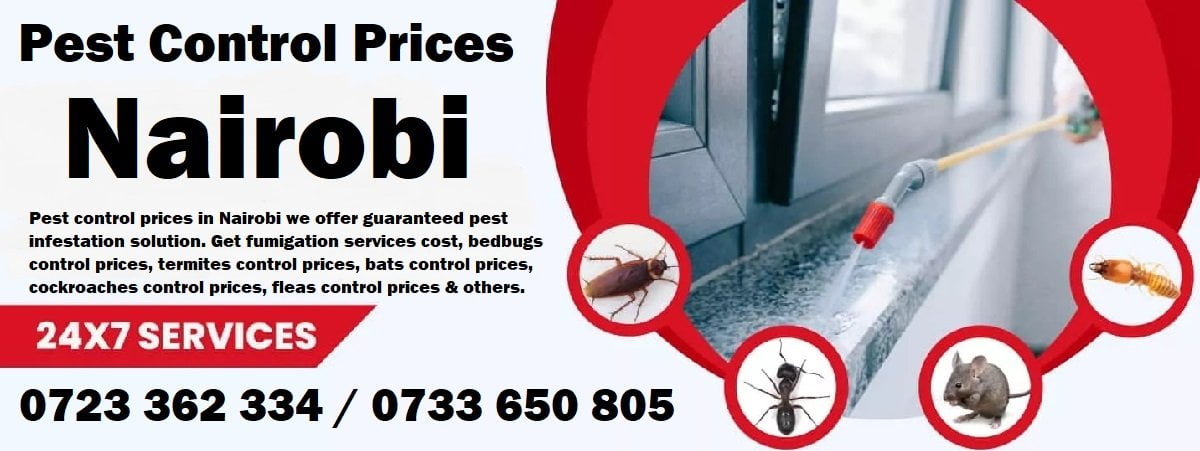 Prices & cost of fumigation and pest control services in Nairobi