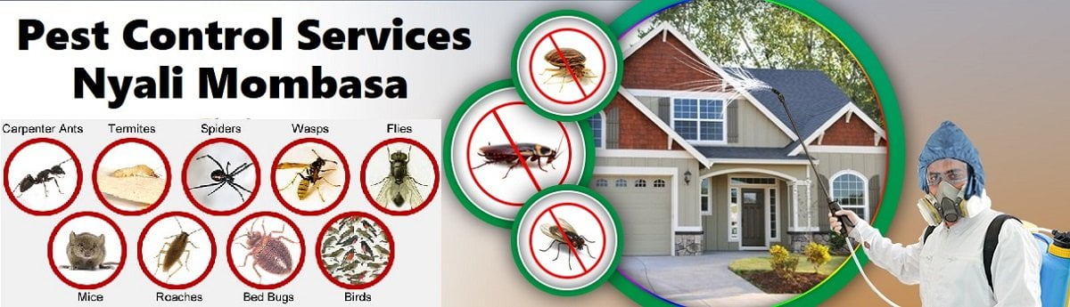 Fumigation & pest control services Nyali Mombasa