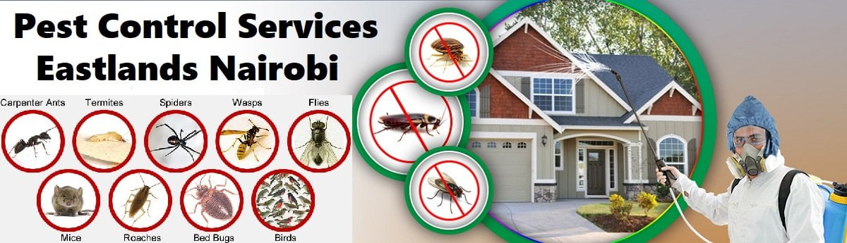 Fumigation & pest control services Eastlands Nairobi