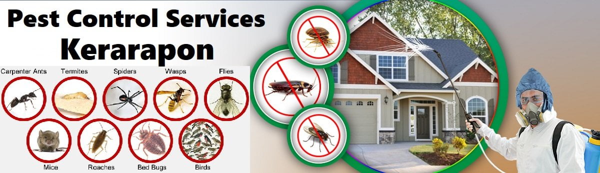 Fumigation & pest control services Kerarapon