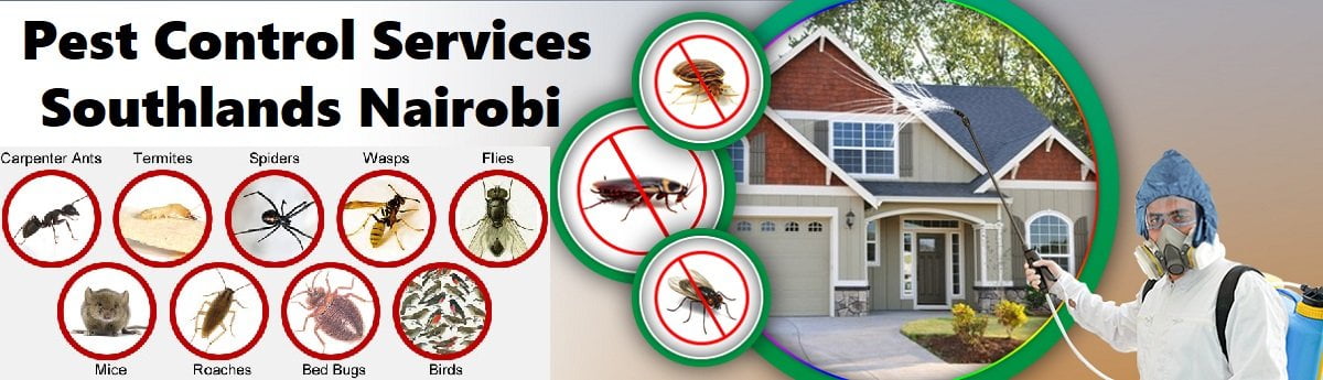 Fumigation & pest control services Southlands Nairobi