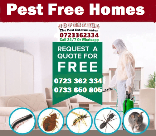 Pest free homes in Kenya