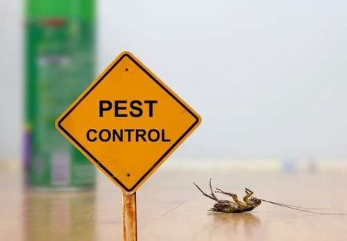 Pest control