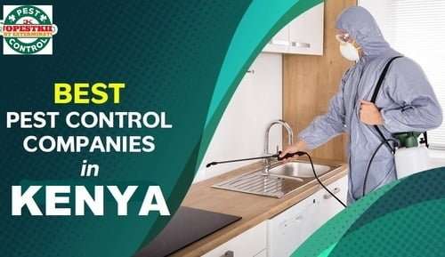 Top best fumigation & pest control companies in Kenya