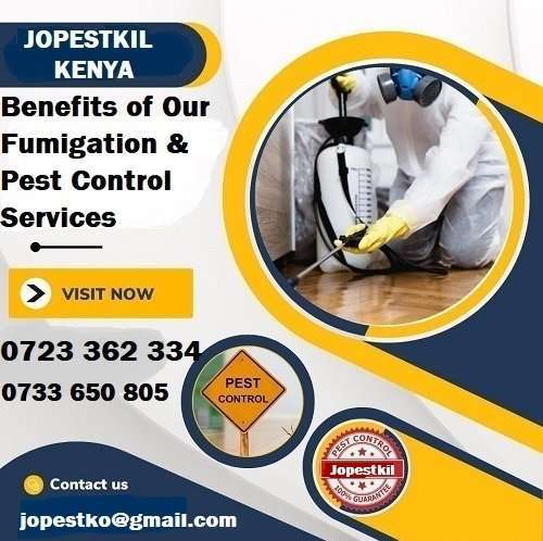 Benefits of Fumigation and Pest Control Services