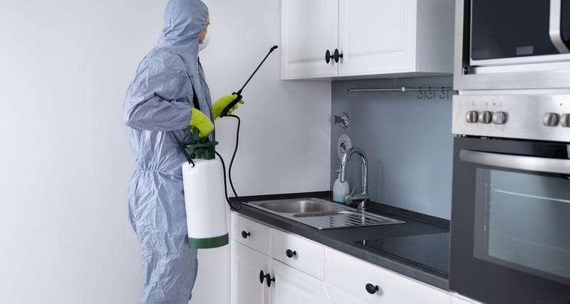 Best Fumigation & Pest Control Companies in Kenya
