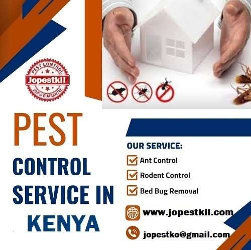 Best Fumigation & Pest Control Companies in Kenya