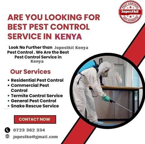 Best Pest Control Services in Kenya