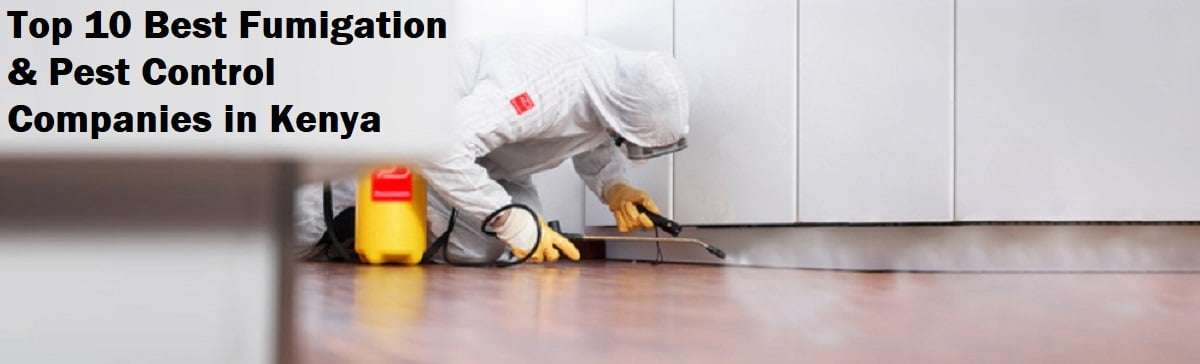Top 10 Best Fumigation & Pest Control Companies in Kenya