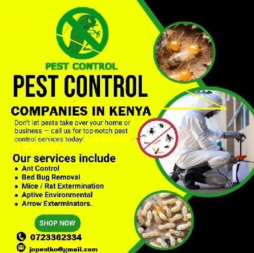 Best fumigation & pest control companies Kenya