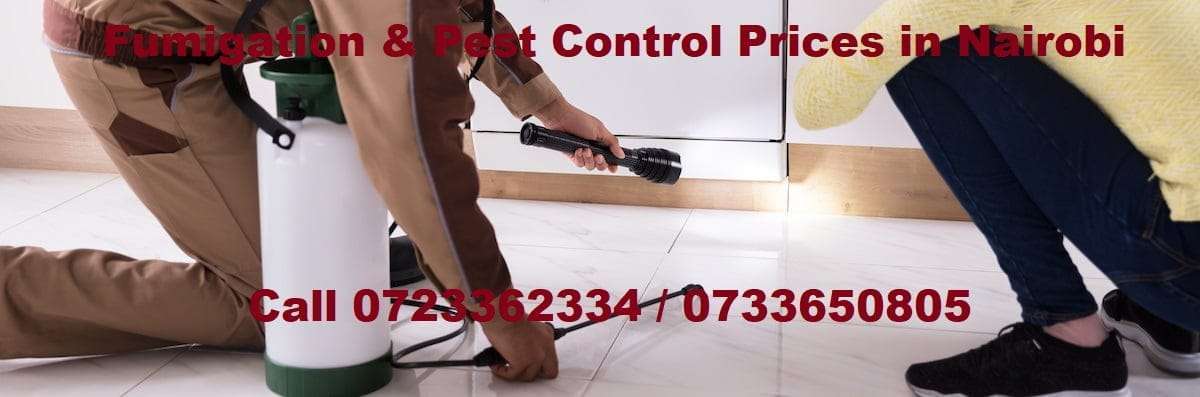 Pest control prices in Nairobi Kenya