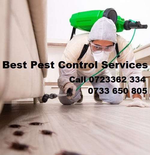 Best pest control services