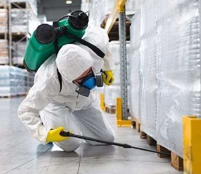 Best fumigation and pest control services in Kisumu