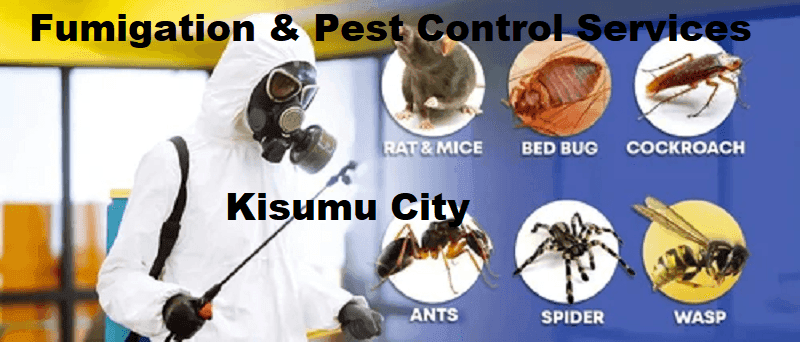 Fumigation and pest control services Kisumu