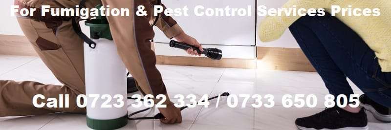 Fumigation-pest-control-services-prices-in-Kenya