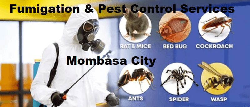 Fumigation & pest control services Mombasa