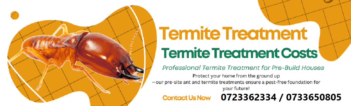 Termite-Treatment-Control-Cost