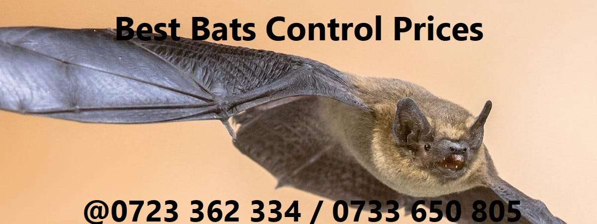 bats control prices