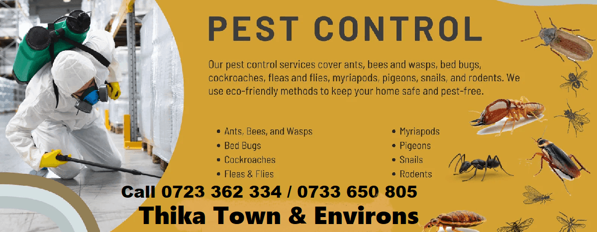 Fumigation-pest-control-services-Thika