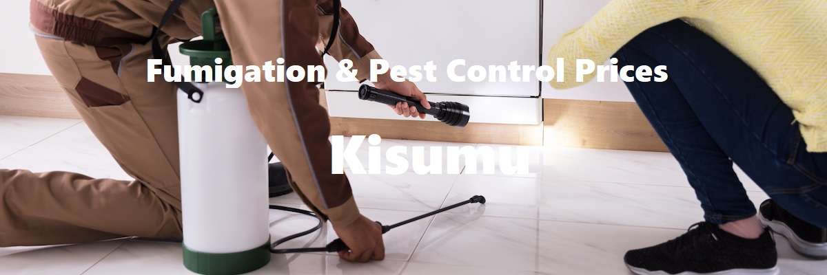 Fumigation & pest control services prices in Kisumu