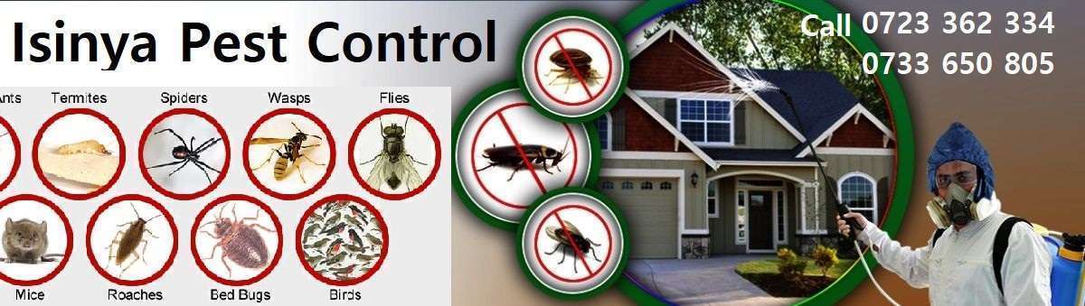 Fumigation & pest control Isinya