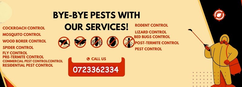 Pest Control Services in Nairobi