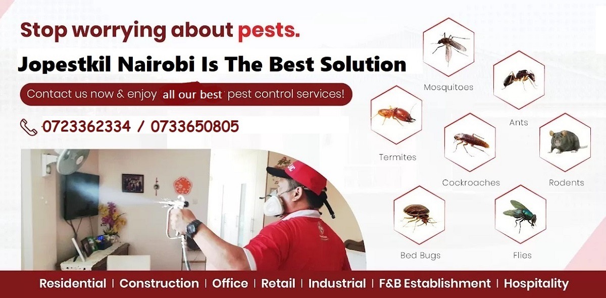 Nairobi fumigation & pest control services