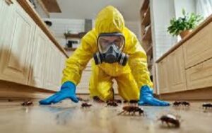 professional fumigation & pest exterminator