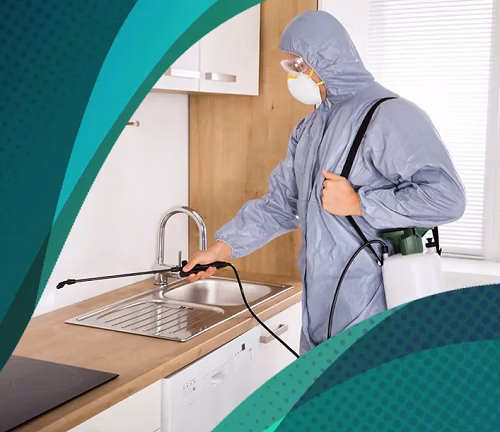 Best pest control Best pest control