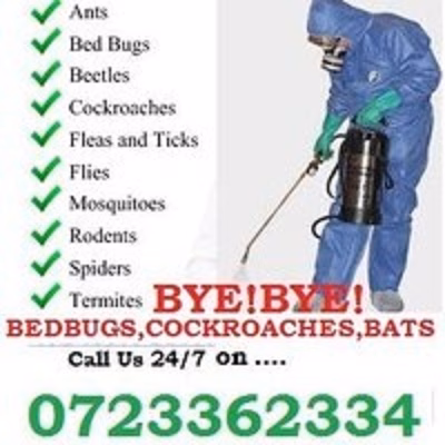 Pest control in Kenya Pest control in Kenya