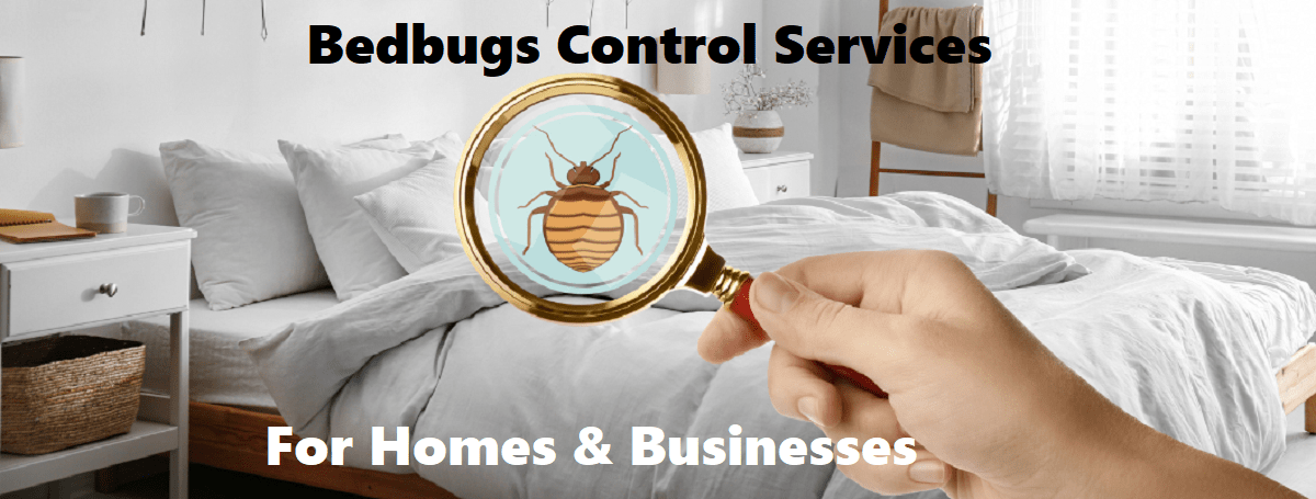 Bedbugs control services for homes & businesses