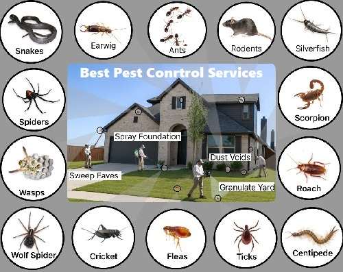 get fumigation & pest control services in Nairobi Kenya, Jopestkil Kenya Specialists Fumigation Pest Control Services in Kenya, pest control, pest control services, pest control services in Kenya, pest control in Kenya, fumigation, fumigation services in Kenya, fumigation in Kenya, pest control near me, pest control services near me, best pest control services in Kenya, best fumigation services in Kenya, fumigation services near me, best pest management services in Kenya, fumigation and pest control services, pest extermination services in Kenya, pest eradication services in Kenya, pest elimination services in Kenya, top best fumigation services in Kenya, certified and licensed pest exterminator in Kenya